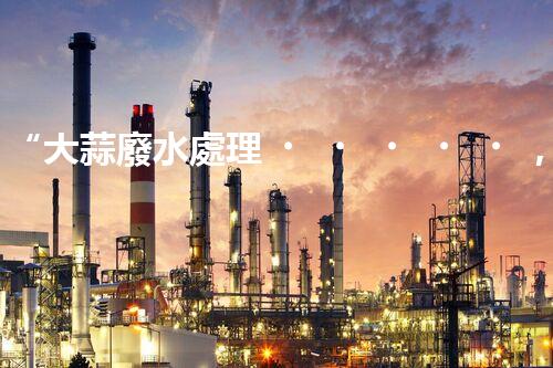 “大蒜廢水處理，綠色環(huán)保新篇章”